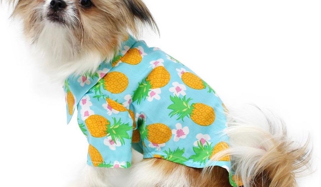 . Doggie Fashion