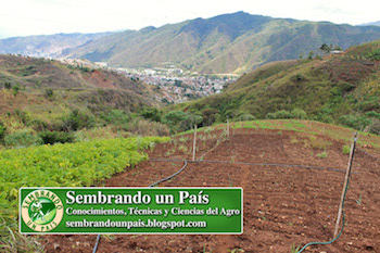 agricultura en Caracas