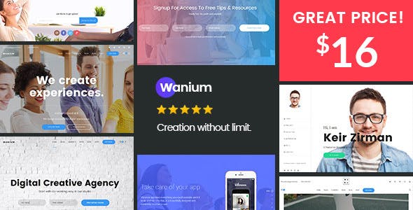Wanium v1.5.9 - A Elegant Multi-Concept Theme Wordpress Theme - nuledfile