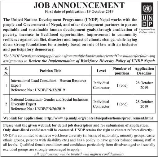 UNDP Jobs