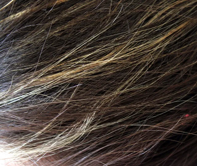 Revlon hair dye close up