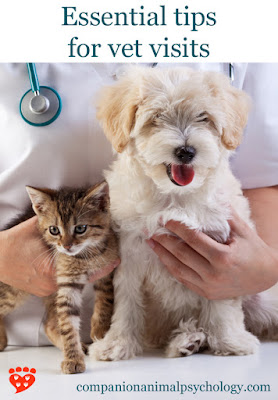 Essential tips to help dogs and cats be less stressed at the vet. Photo shows a puppy and kitten happy at the vet