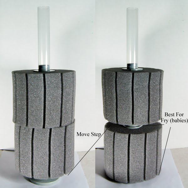 Amazon Com Azoo 3 Aquarium Sponge Filter Up To 15 Gallons Pet