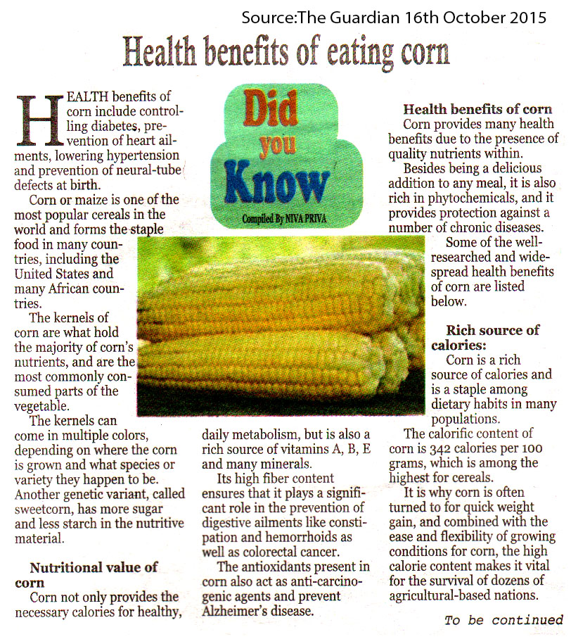 Vijanatz TV Health benefits of eating corn