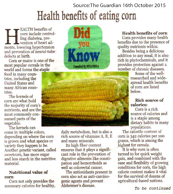 Vijanatz TV Health benefits of eating corn