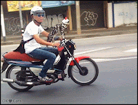 Amazing Cat GIF • Meanwhile in Thailand a fearless cat with a beautiful helmet is riding on his fav motorbike