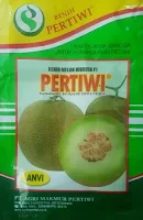 melon pertiwi, jual melon hibrida berkualitas, jual benih terbaik pertiwi, budidaya melon, toko pertanian, toko online, lmga agro