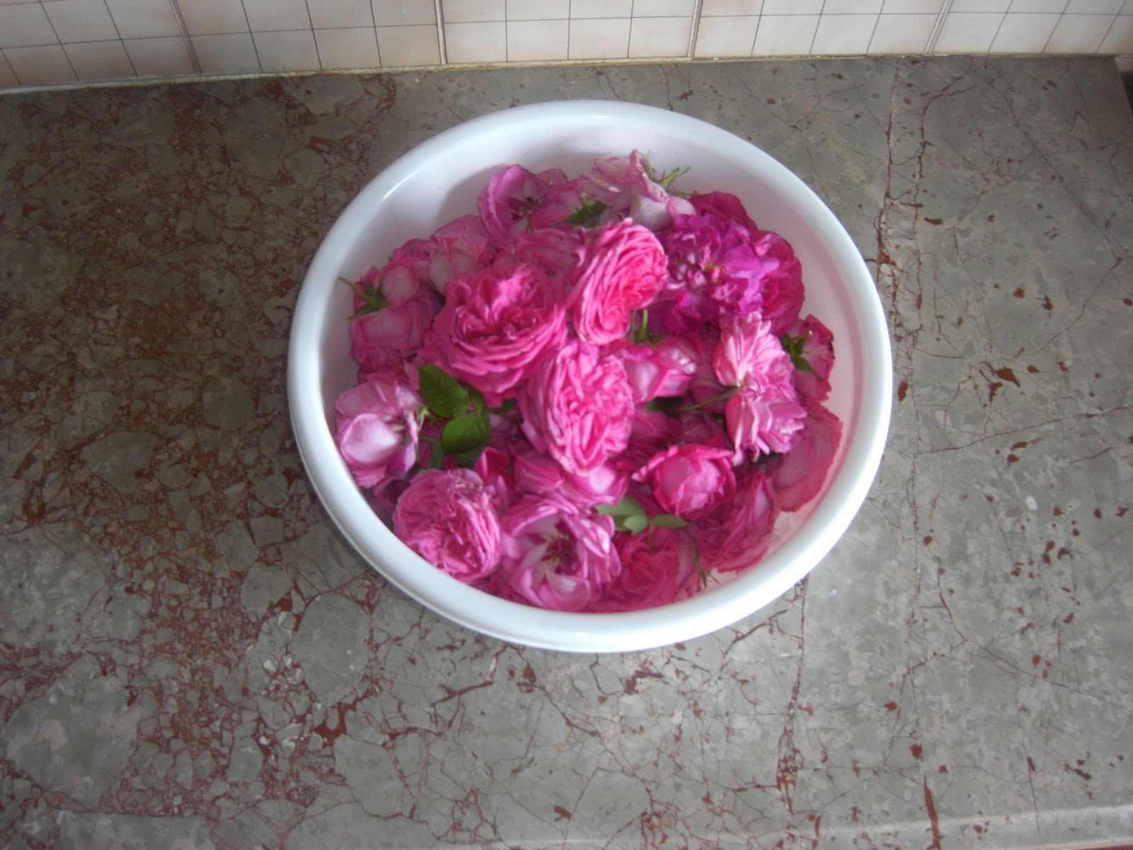 http://1.bp.blogspot.com/-wBGH3vK6fLc/Ua2A92ZbmhI/AAAAAAAABxQ/VUbkG_9C_wg/s1600/CIMG6143.JPG