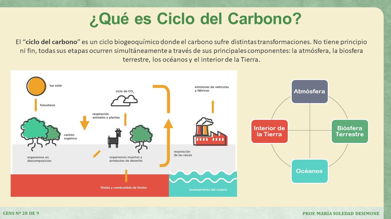 Cultura y TIC EL CICLO DEL