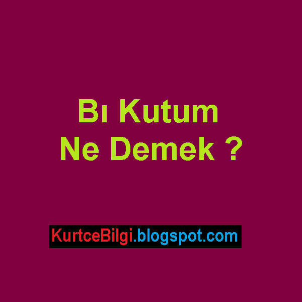 Bi Kutum Ne Demek ? GamTeli