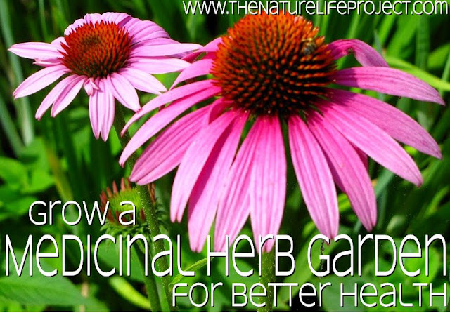 The Nature Life Project: Grow a Medicinal Herb Garden for Better Health