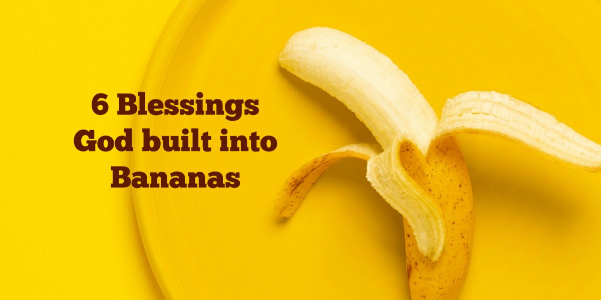 Bible Love Notes Peeling Back the Blessings in Life They're Everywhere!