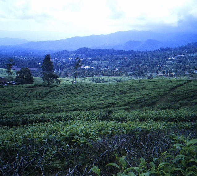 Tempat Wisata di Subang 2020