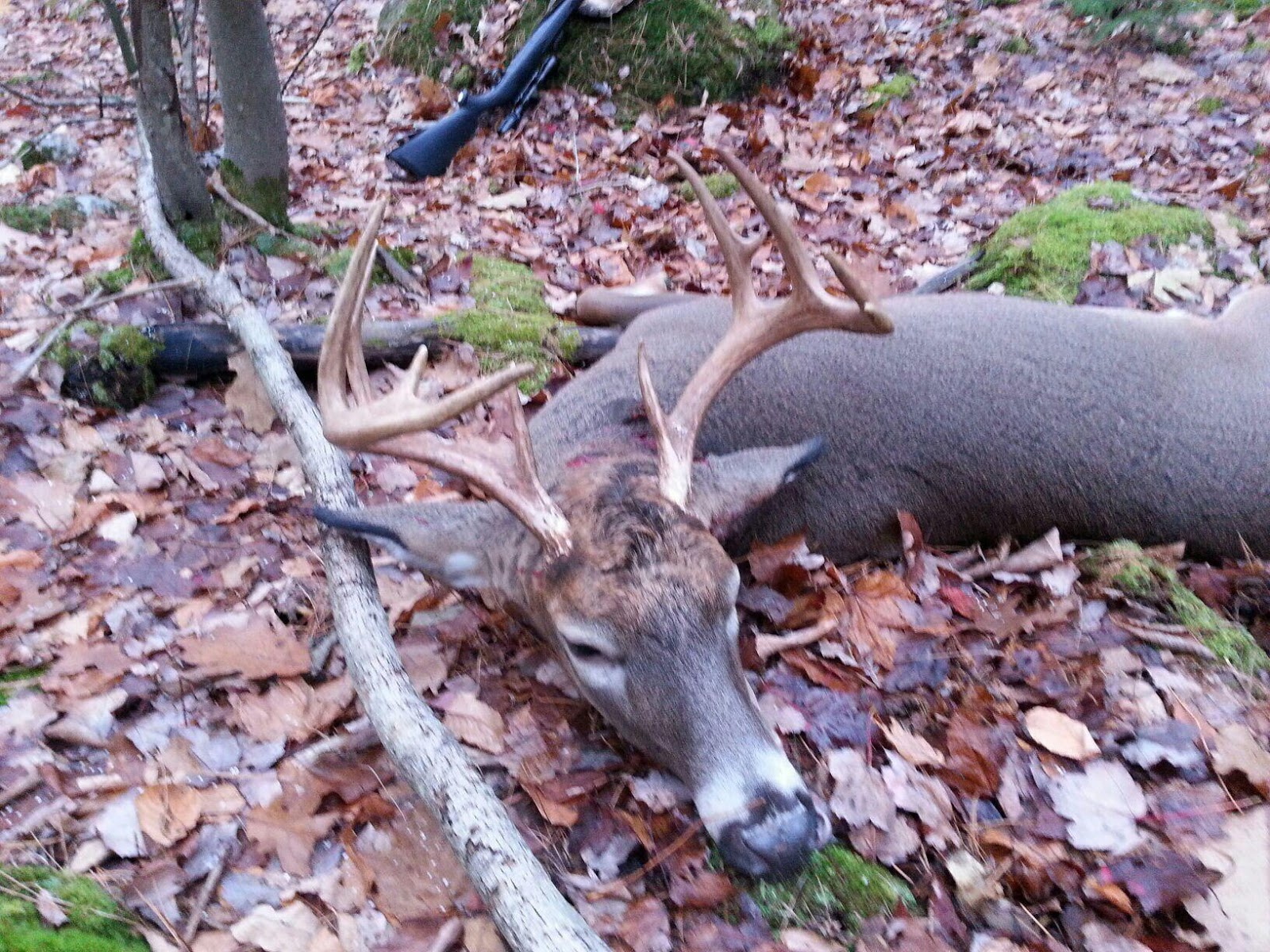 Capitol Outdoors Illinois' Hunting and Fishing Resource Round 5 of