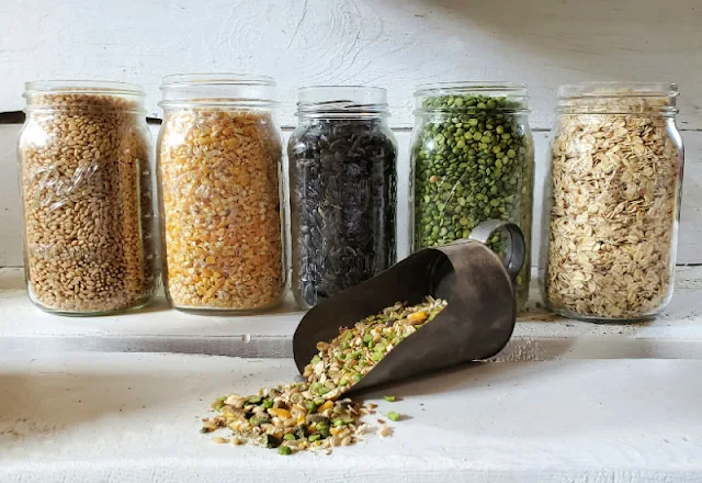row of glass jars filled with seeds and grains