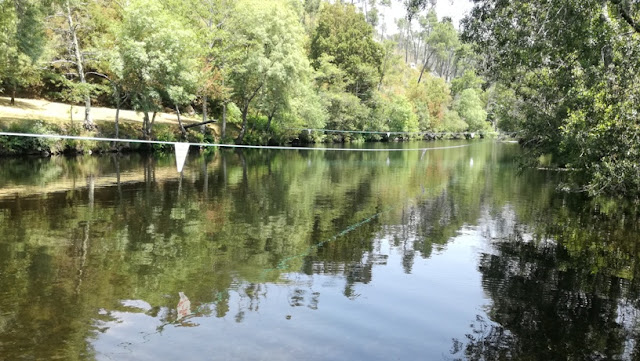 Rio Paiva na Folgosa