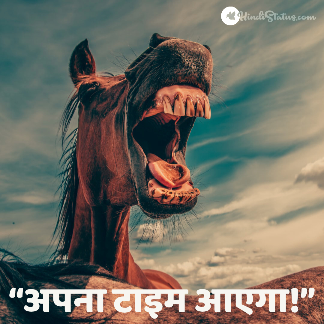 Apna Time Aayega - Funny Status! - Hindi Status : The Best Place For Hindi  Quotes and status