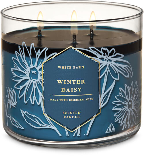 Life Inside the Page Bath & Body Works Winter Florals Candle