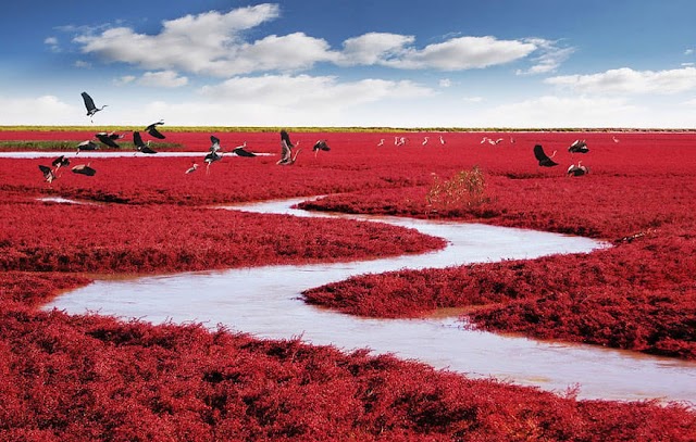 Wonders of nature. Red Beach