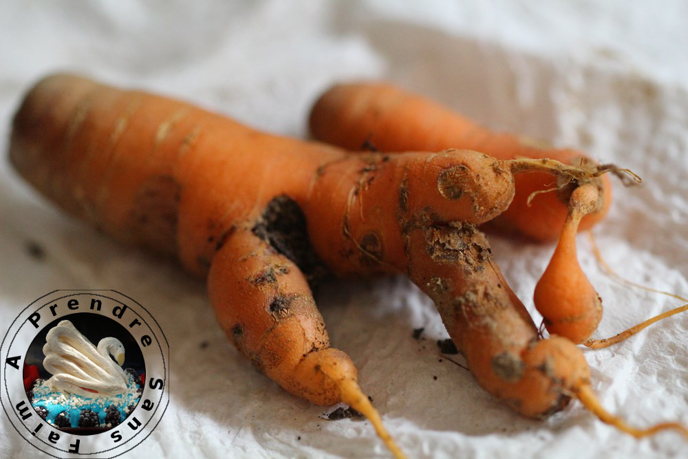 Tout savoir sur les carottes (pas à pas en photos) A Prendre Sans Faim