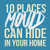 10 Places Mould Can Hide In Your Home #infographic