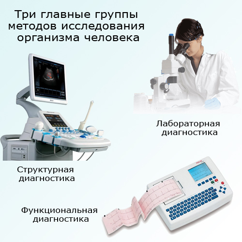 Основные методы изучения организма человека