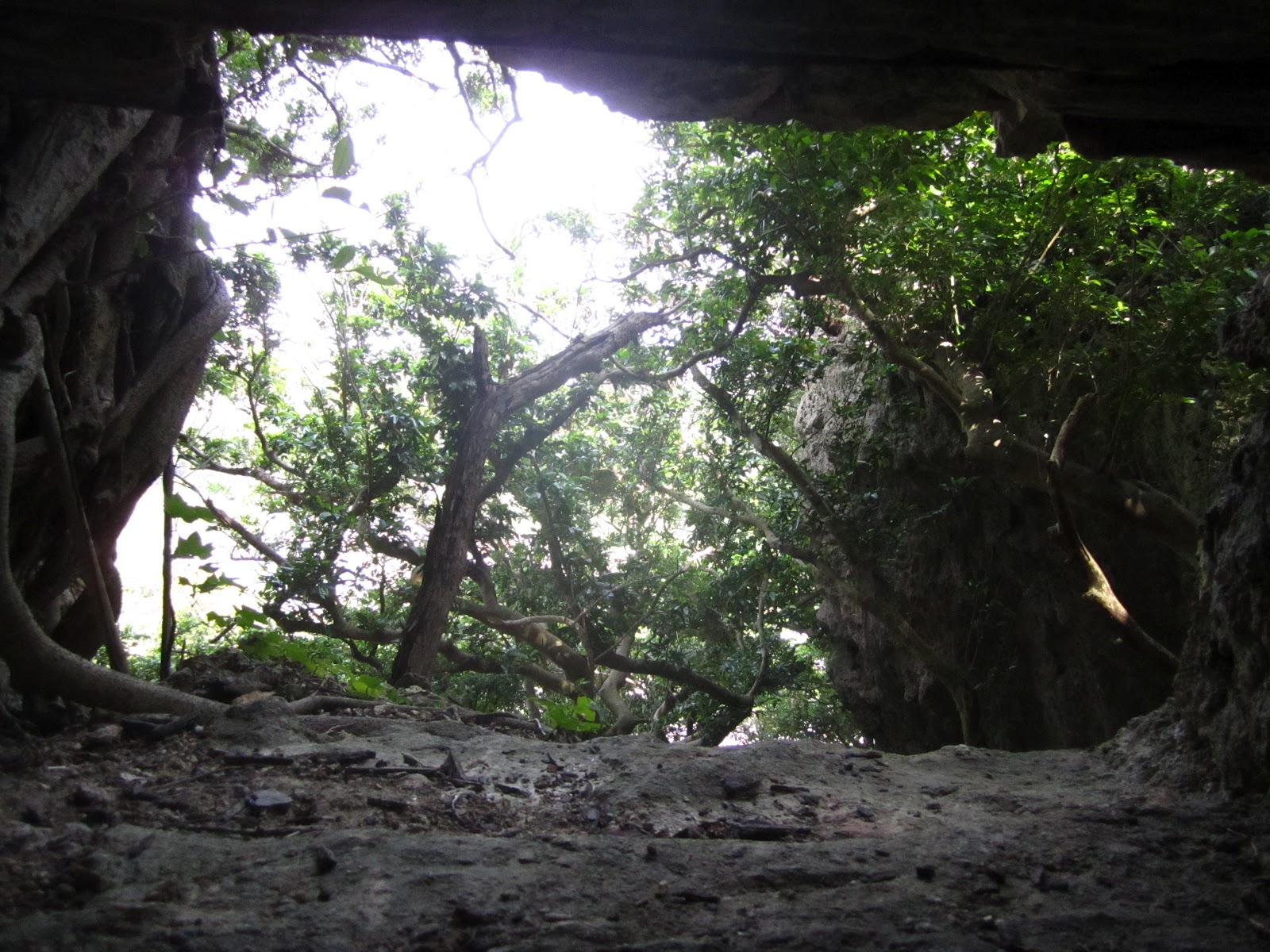 Happily Ever The Carsons: Okinawa Tunnel Rats Tour
