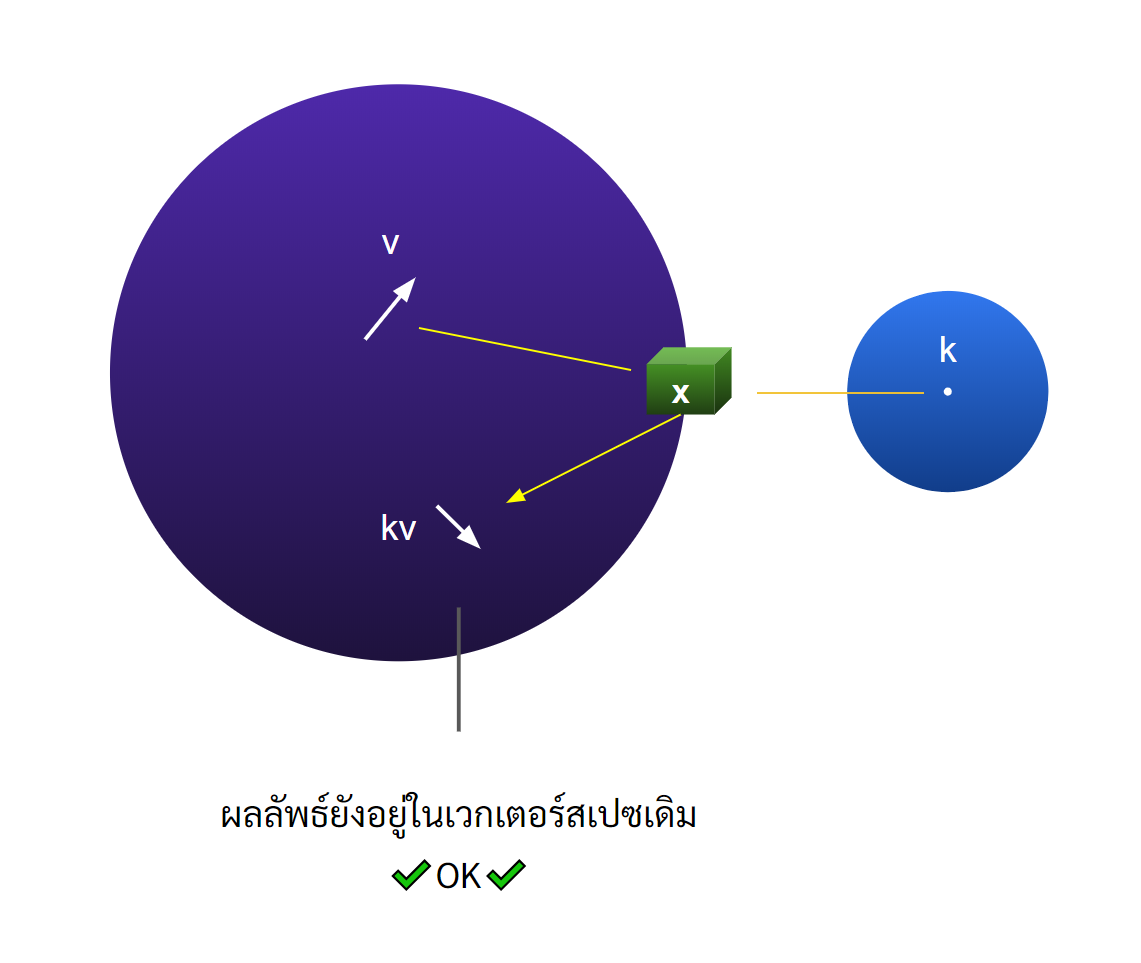 Vector Space Operator