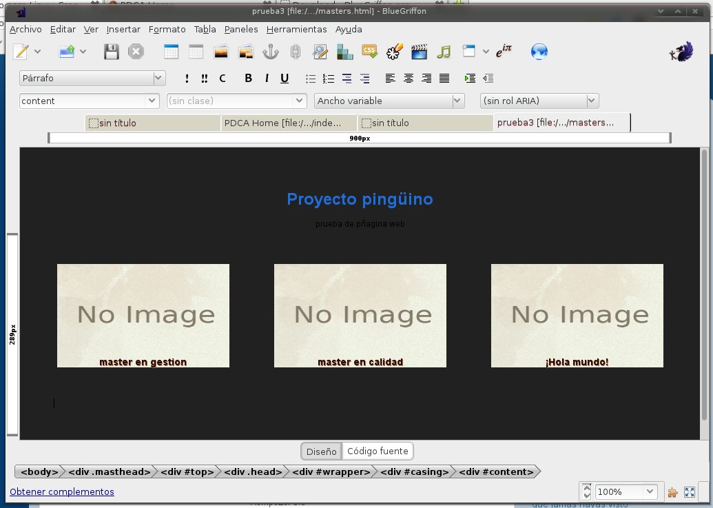 programa diseño paginas web