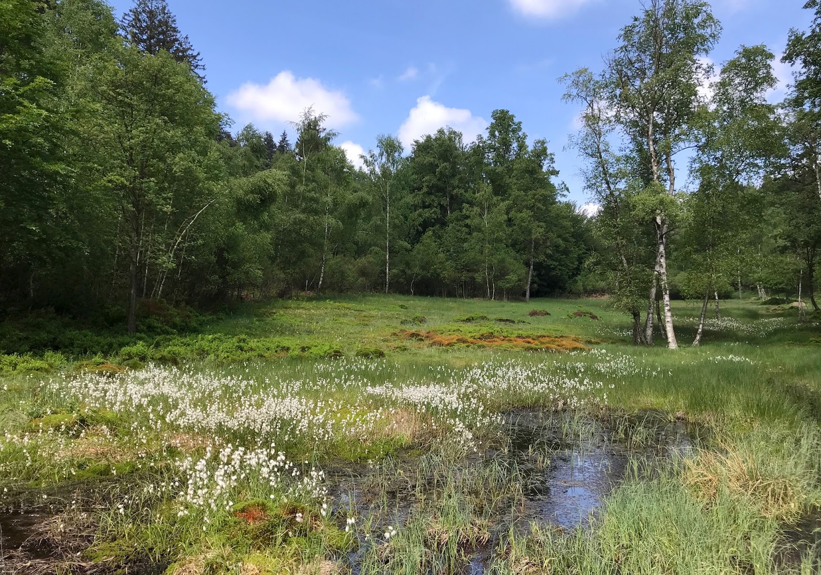 Grand Explorer Blog 10 01 2013 11 01 2013