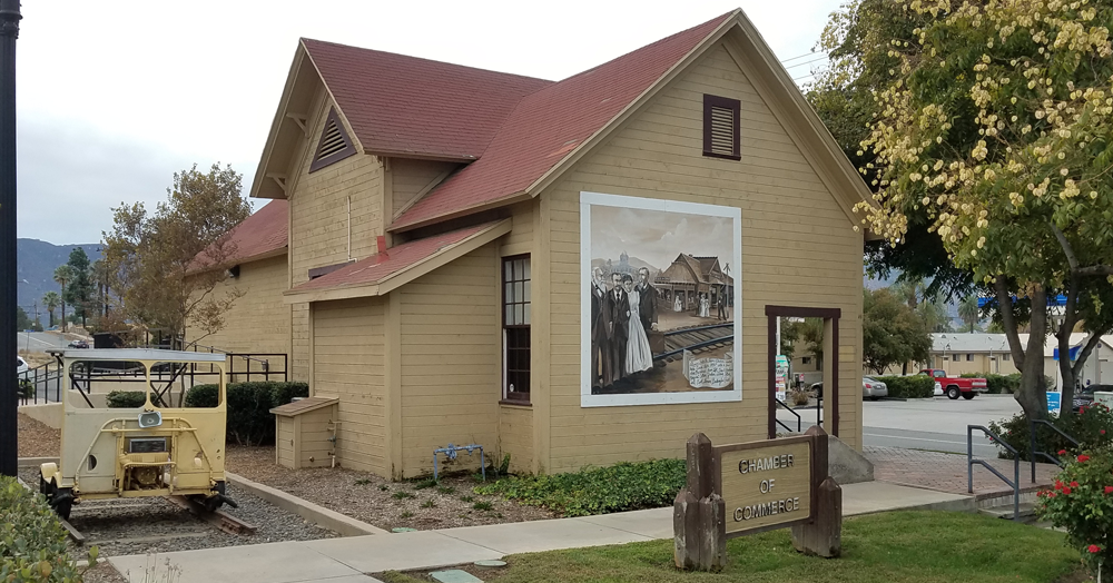 Wildomar Rap • New Little Free Library