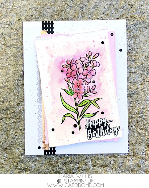 #cardbomb, Maria Willis, Stampin' Up!, Southern Serenade, watercolor, flowers, happy birthday, technique, cards, stamping, handmade, crafty, creative, ink, paper, papercraft, color, diy, rubber stamping, card making, color, gift giving