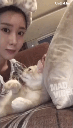 umjjal_kr_078.gif