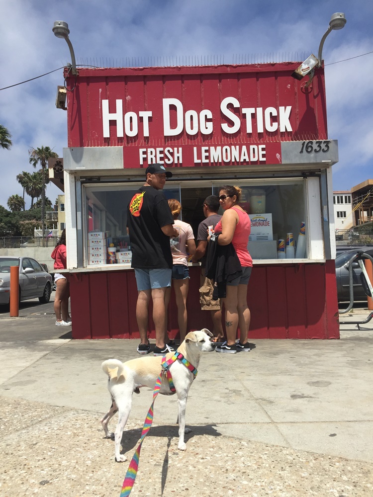 happyhazel TBT HOT DOG HAPPY AT HOT DOG ON A STICK IN SANTA MONICA