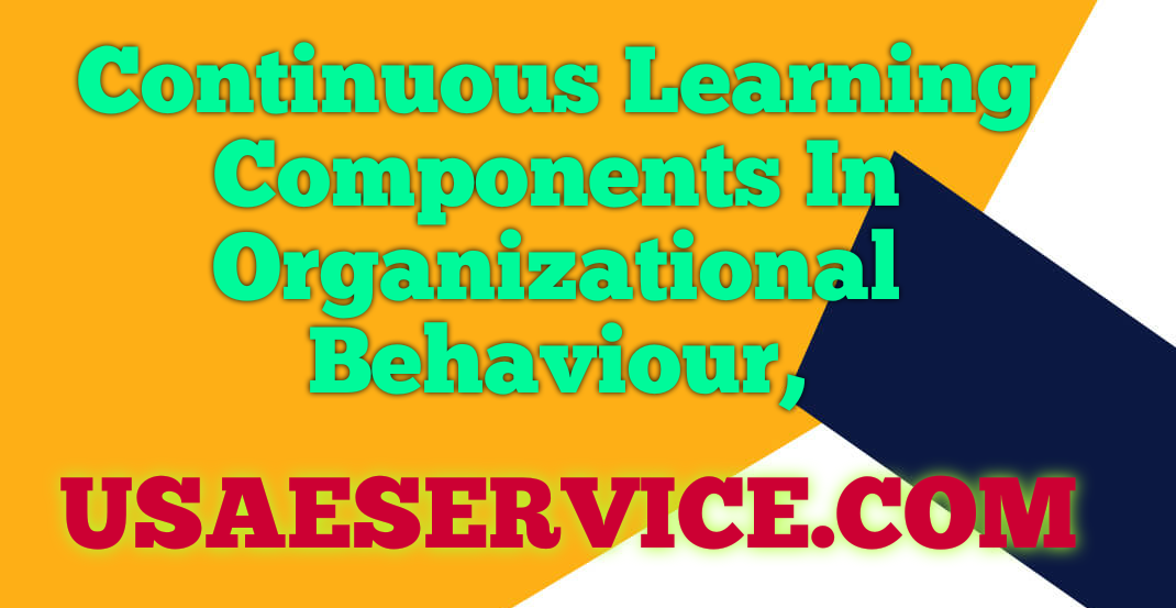 Continuous Learning In Organizational Behaviour
