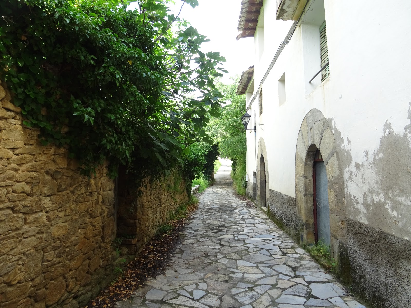 ARTÍCULOS, RESEÑAS LITERARIAS Y EXCURSIONES Carlos Bravo Suárez