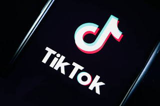 TikTok Download Kaise Kare