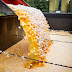 Aldi stops selling all eggs as insecticide scandal widens