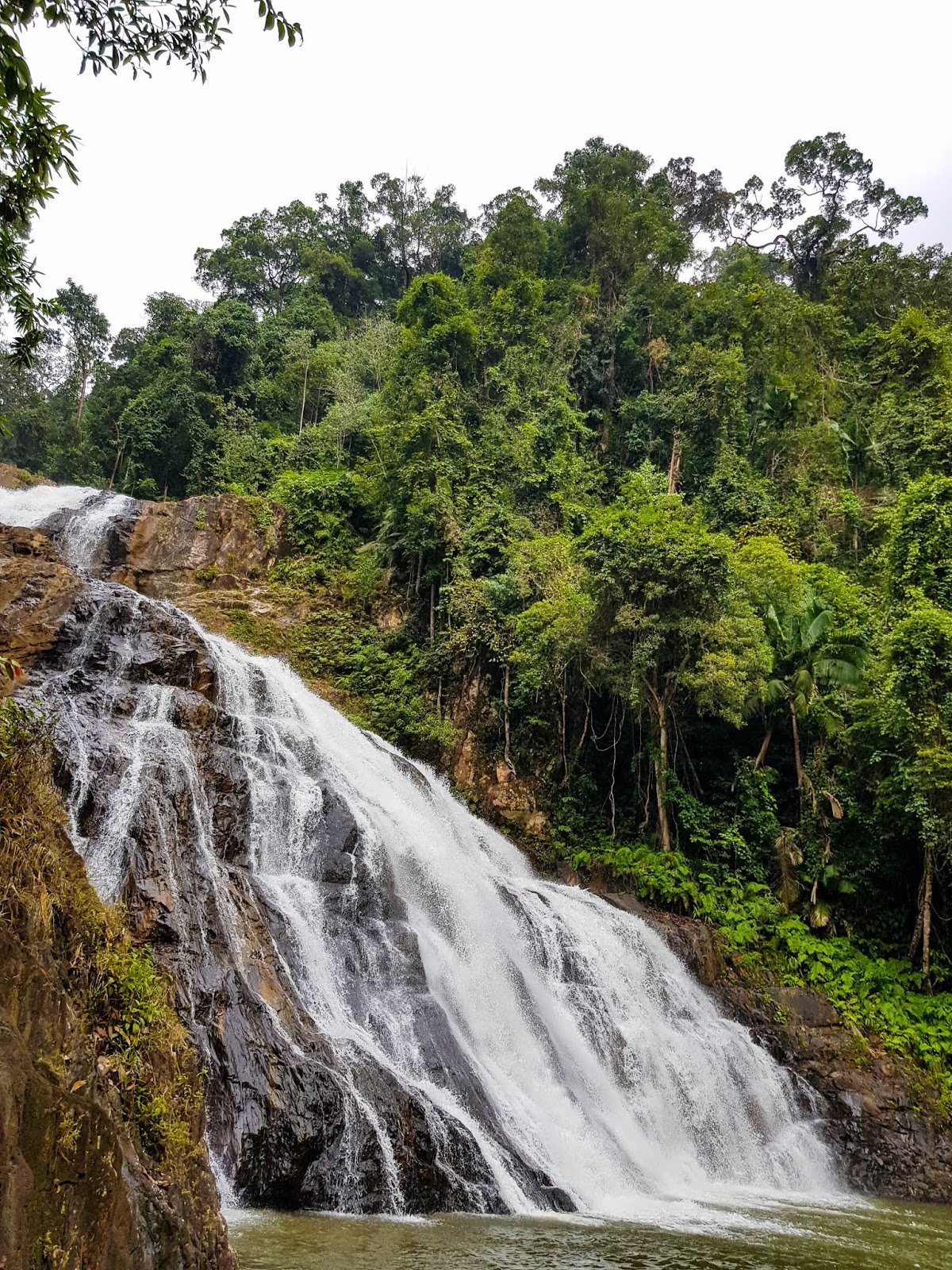 2D1N Endau-Rompin National Park via Selai : Waterfalls Paradise ...