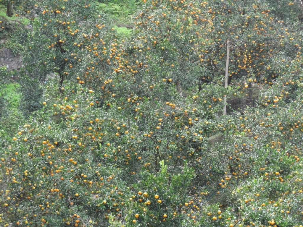 A Traveller's Thoughts Chhota Mangwa A Lesser Known Heaven