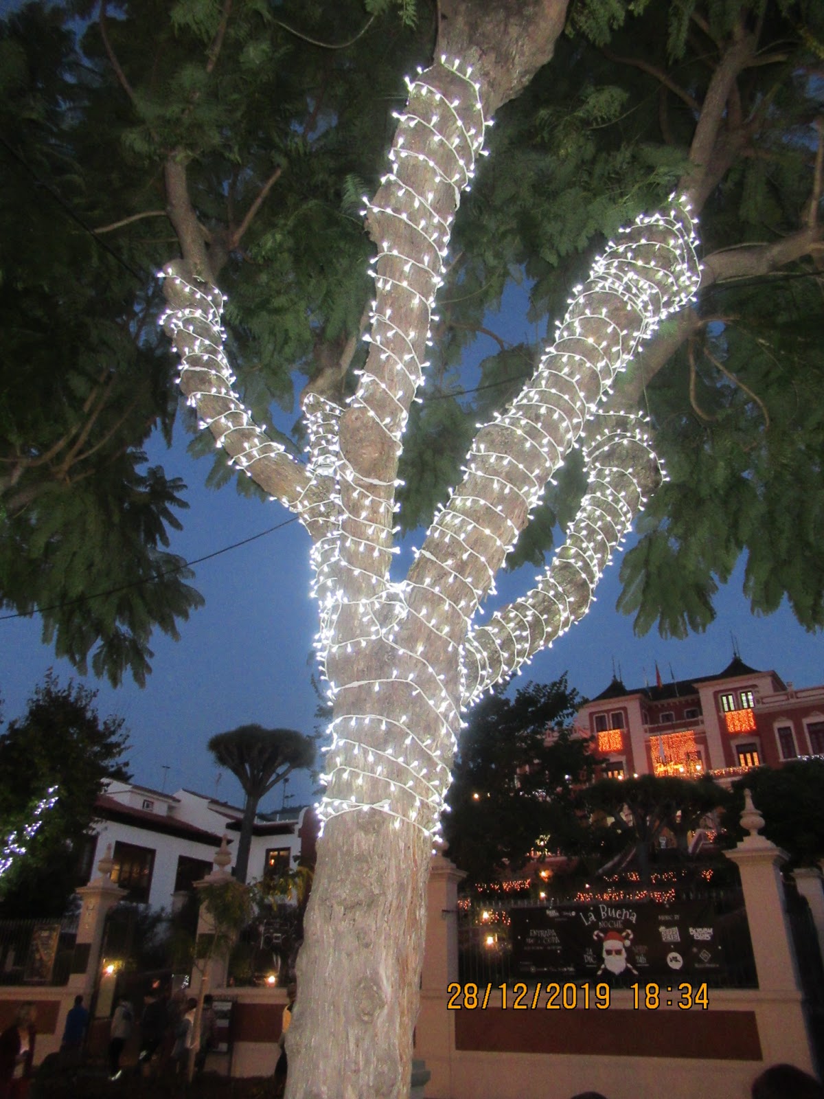 Weihnachten 2022 Teneriffa Bloggmaus Weihnachten auf Teneriffa