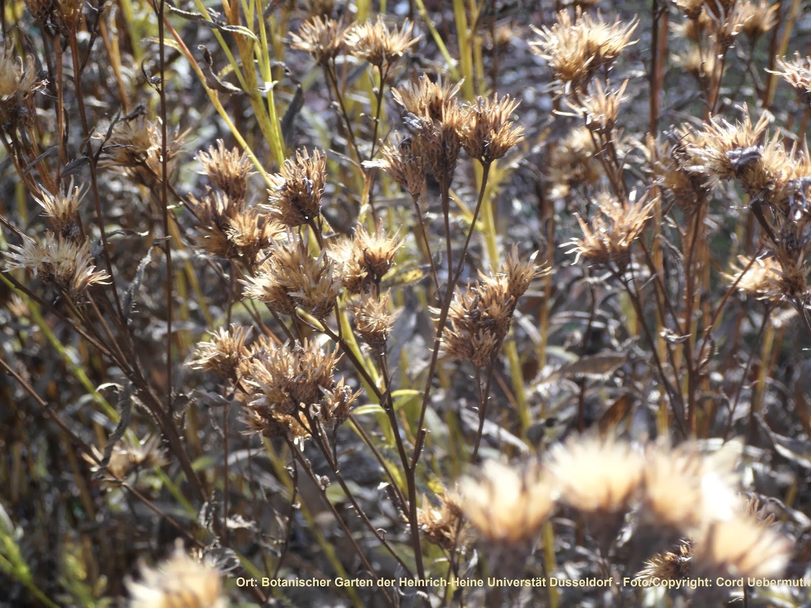 Indextrader24 Com November 2013