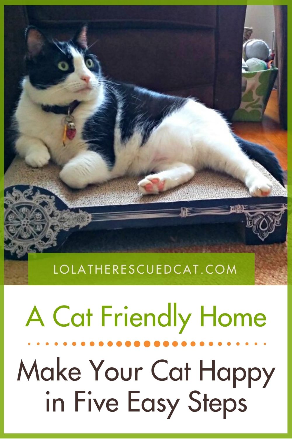 A Cat Friendly Home Make Your Cat Happy in Five Easy Steps Lola The