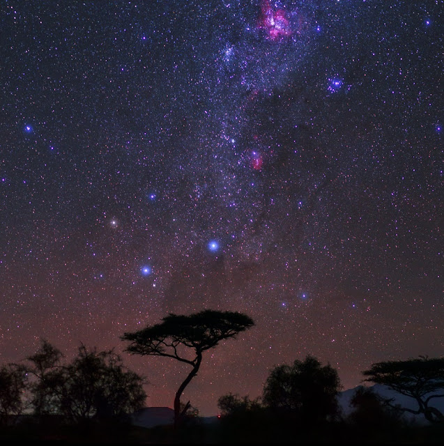 The Southern Cross, Milky Way and Carina Nebula seen over Amboseli National Park