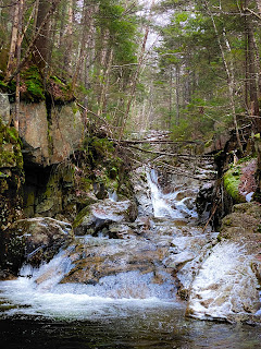 cascades along avalon trail