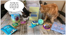 What's In The Box ©BionicBasil® Gus & Bella Spring Kitten Box Melvyn and Fudge