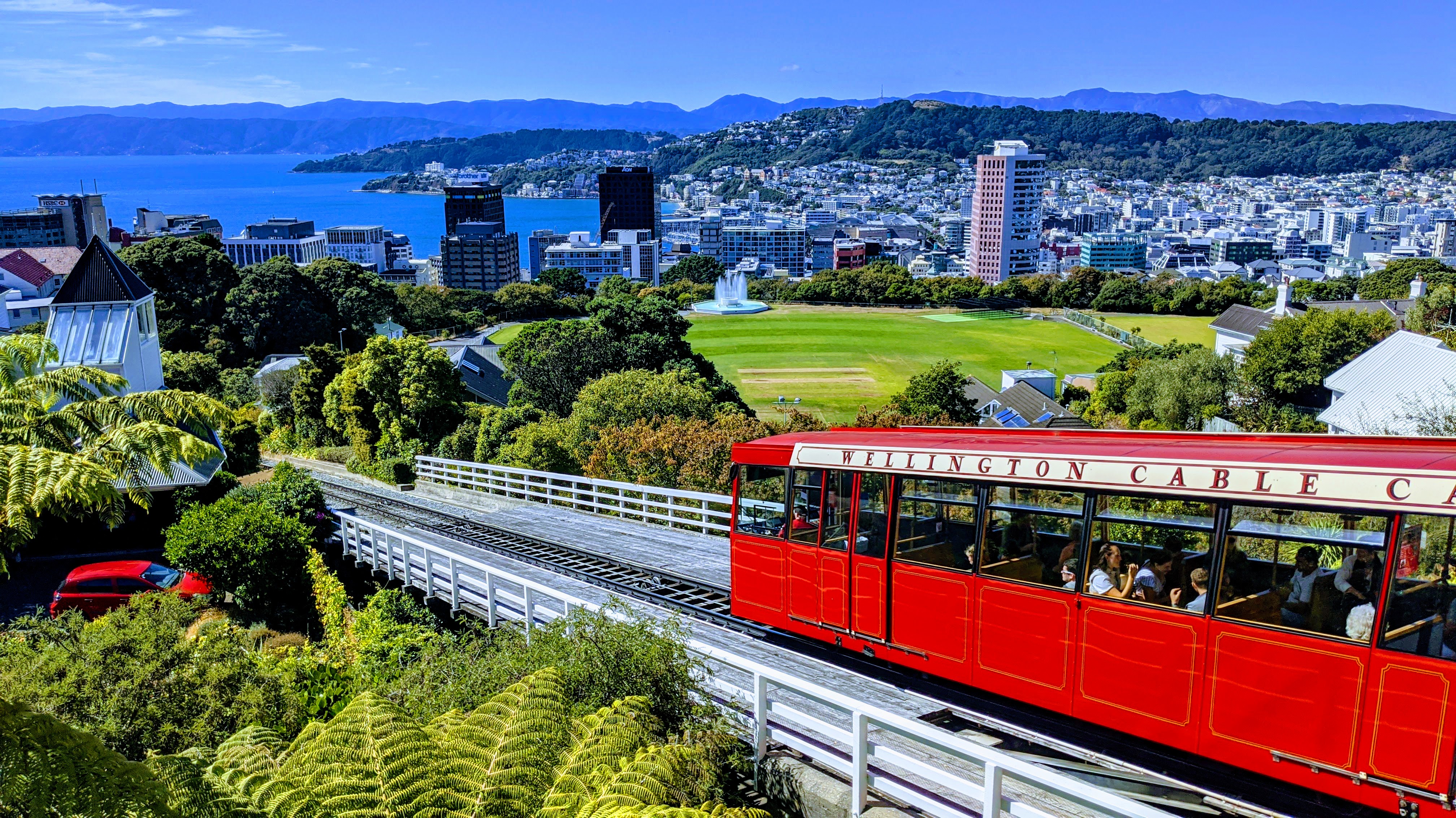 Wellington city and harbour view with red tram