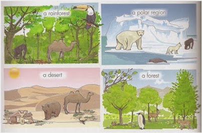 We should animals habitats. Animal Habitats. Animals and their Habitats. Habitats на английском. Animal Habitat for Kids.