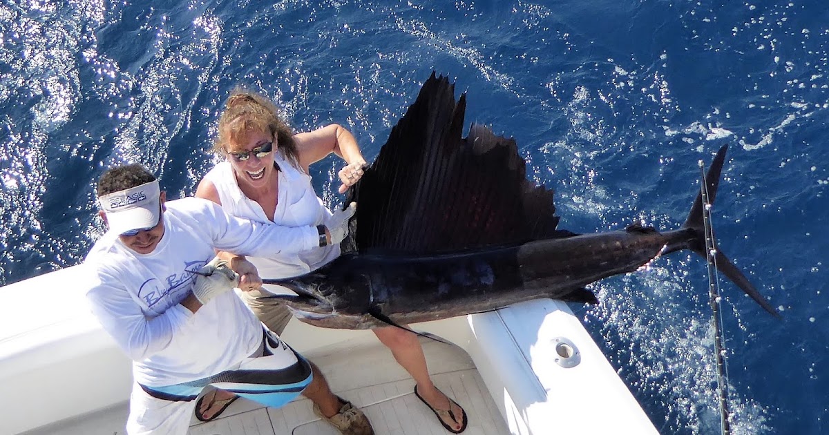 Learn how to catch sail fish & Marlin on the fly | Mad Marlin Lodge