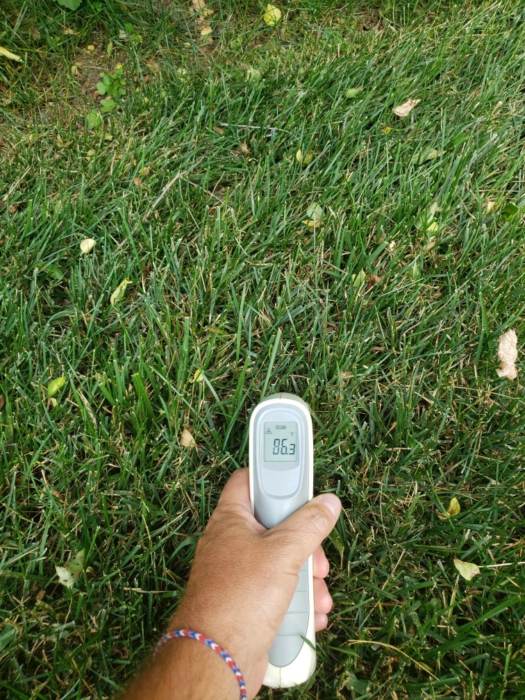 Lawn*Doctor Lawn Care Insights Why is my lawn turning brown so quickly